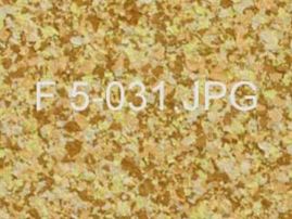 F 5-031