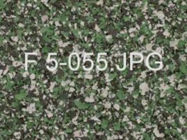 F 5-055
