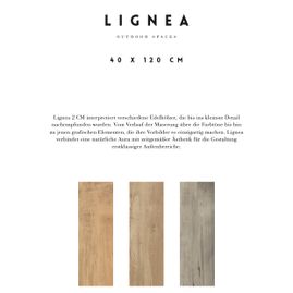 Lignea